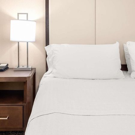 Homewood Suites By Hilton San Marcos Eksteriør bilde