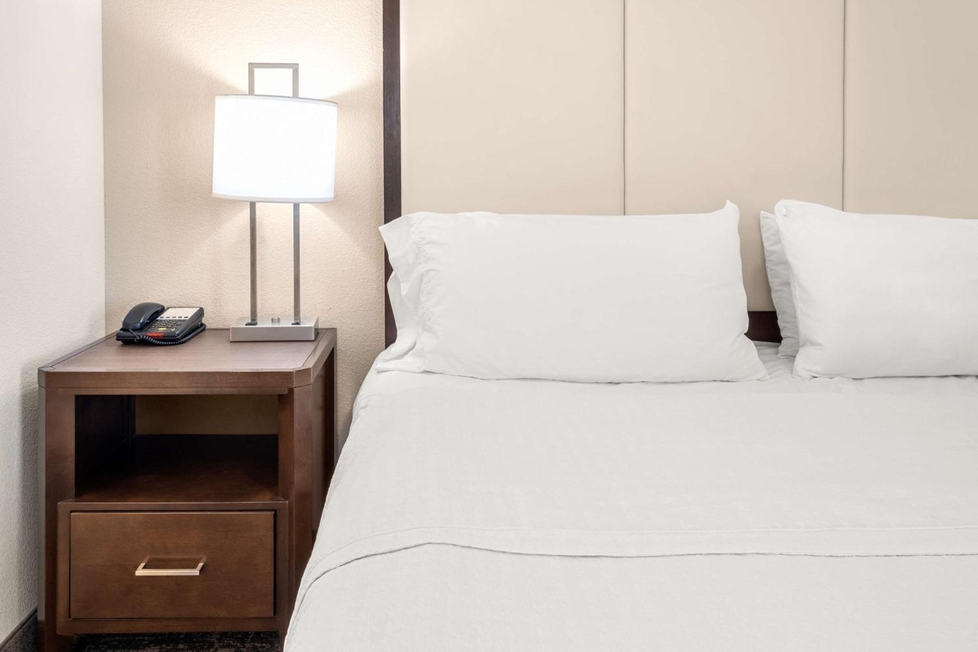 Homewood Suites By Hilton San Marcos Eksteriør bilde
